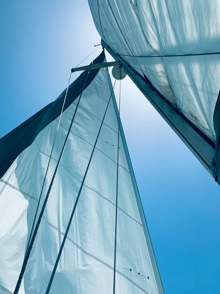 Sails full against a clear sky